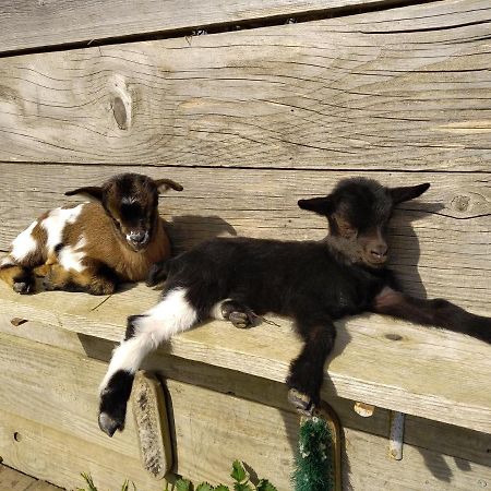 A La Campagne, Au Calme Bed & Breakfast Monterolier ภายนอก รูปภาพ